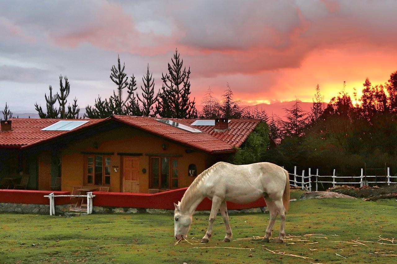 The Lazy Dog Inn A Mountain Lodge Huaraz  Exterior foto